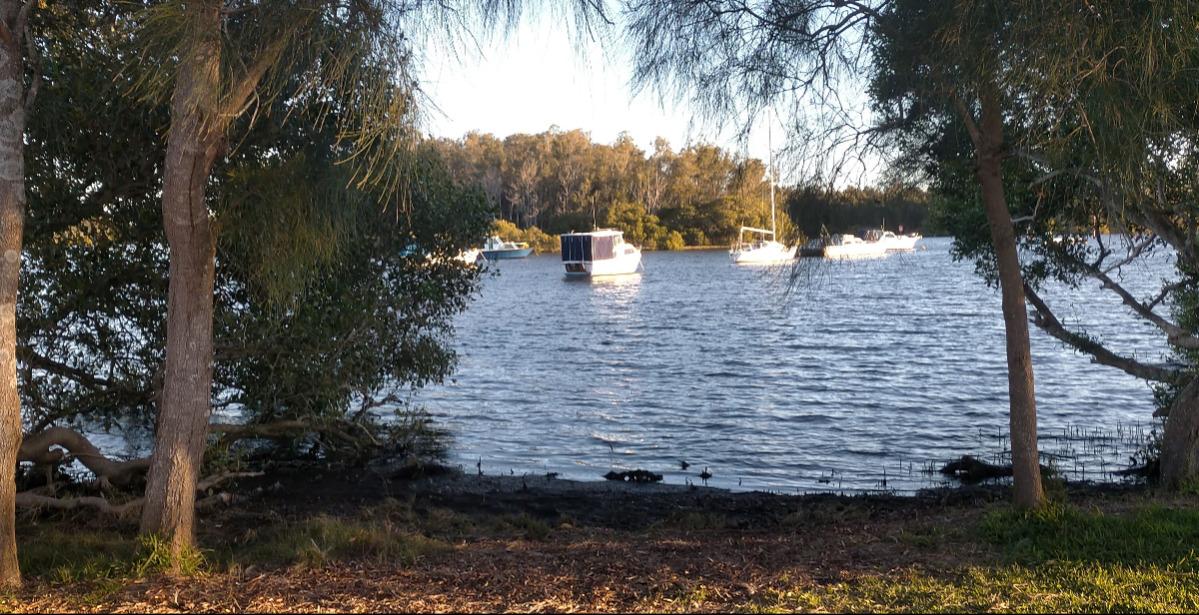 Friends of Forster Keys Foreshore Field Day